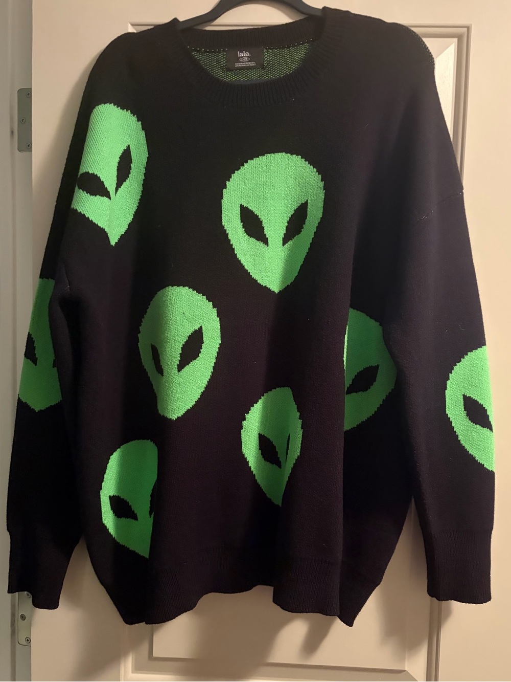 Dressed in lala oversized knit